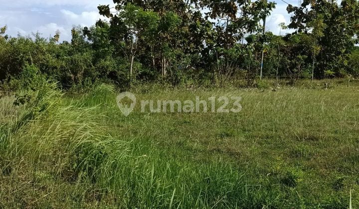 Land for sale near Pandawa beach, Ungasan, South Kuta, Bali 