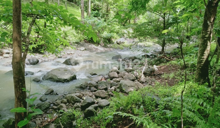 Cheap Sale, Flat and Safe Large Land in Tabanan, Bali. Cheap Sale, Flat and Safe Large Land in Tabanan, Bali.