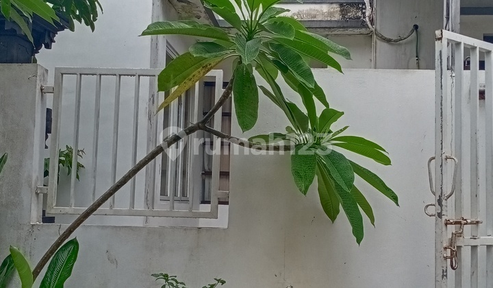 For Sale Modern Bali House 3 Bedrooms From Pujamandala Bali 2