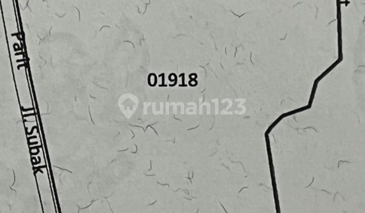 For Sale: Cheap, Spacious, and Flat Land in Gianyar Bali