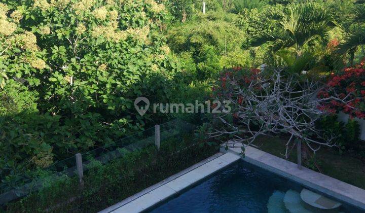 Villa White View Ocean For Rent Ungasan Bali 2