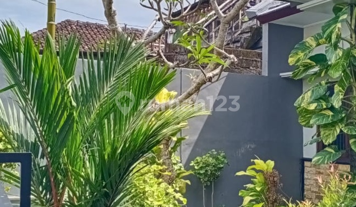 Disewakan Rumah Asri Dan Nyaman Di Ungasan Kuta Selatan Bali