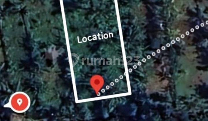 Dijual Tanah Luas Dan Murah Ubud Bali Dijual Tanah Luas Dan Murah Ubud Bali