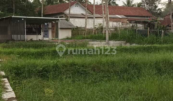 Dijual Cepat Tanah Sawah Murah Di Cibunigeulis Tasikmalaya Dijual Cepat Tanah Sawah Murah Di Cibunigeulis Tasikmalaya