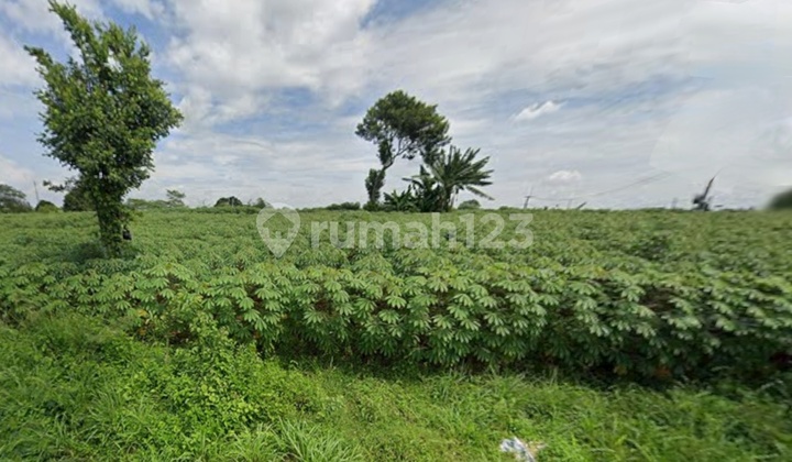 Tanah Kavling Murah Dekat Jl Raya Bomang Tajur Halang Kab Bogor