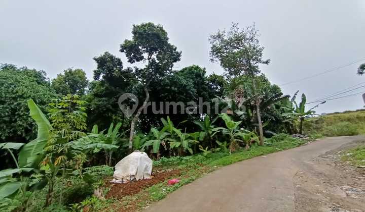 Dijual Tanah Jl.Raya Desa Cijayanti 4