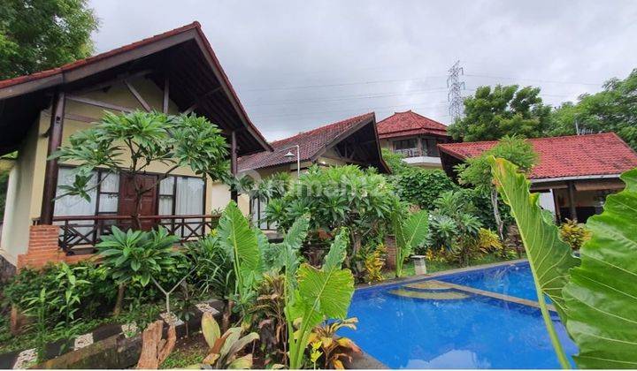 For sale Lovina Eco Lodge Villa in Bali, Good View, Good Location 1