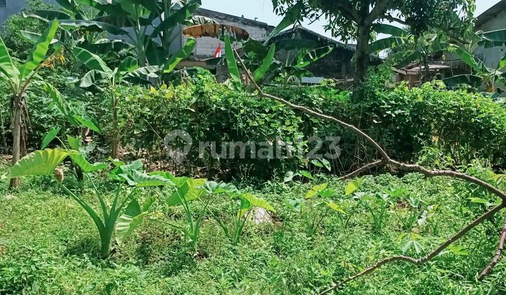 Jual Tanah Lokasi Strategis Dekat Kampus