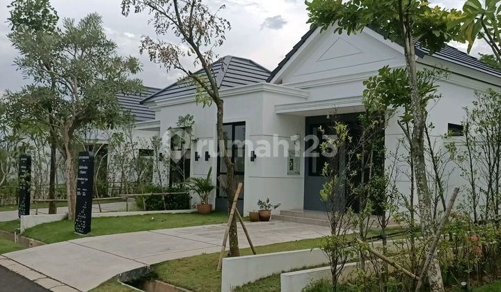 Rumah 1 Lantai Lokasi Strategis Depelover Besar Rumah 1 Lantai Lokasi Strategis Depelover Besar