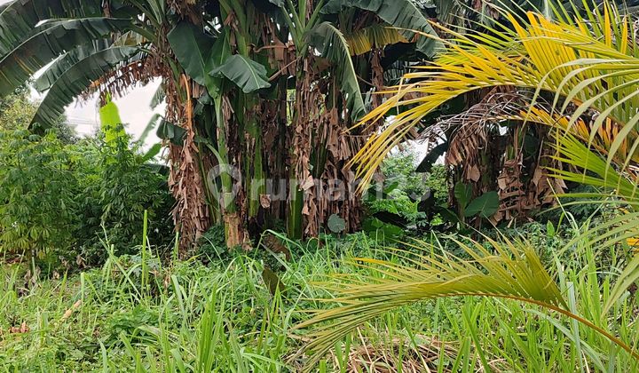 Jual Cepat Kavling Ilhami di Jl. Syamsi 4 Block B No. 70, Kelapa Dua, Kelapa Dua, Tangerang, Banten, Indonesia, 15810, Kelapa Dua Tanah