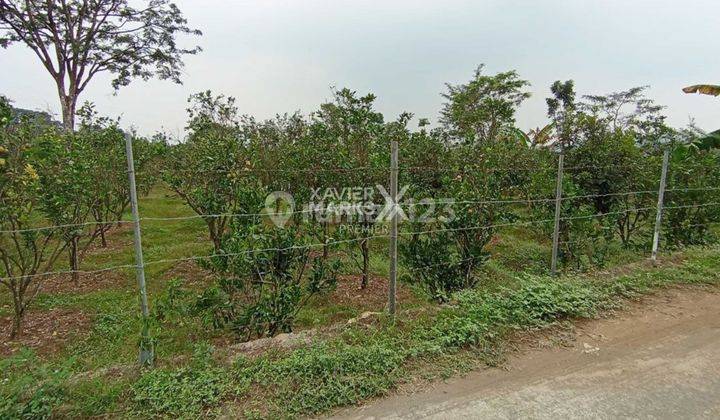 Termurah Dikelasnya Tanah Kebun Siap Bangun Di Dieng Atas Malang  1