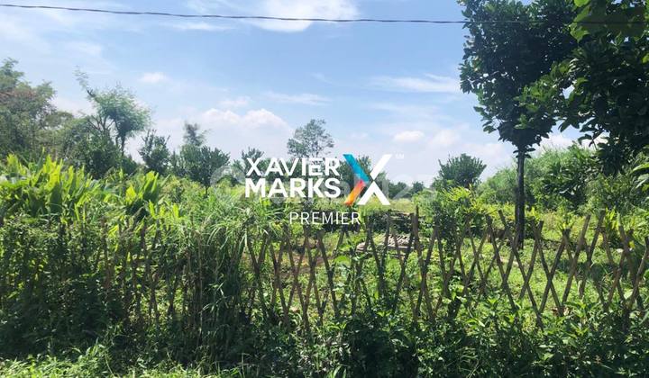 Dijual Tanah Strategis di Dau Malang Cocok Untuk Investor