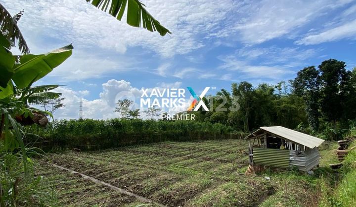 For Sale Cheap Land Landugsari Suitable for Plantation Malang