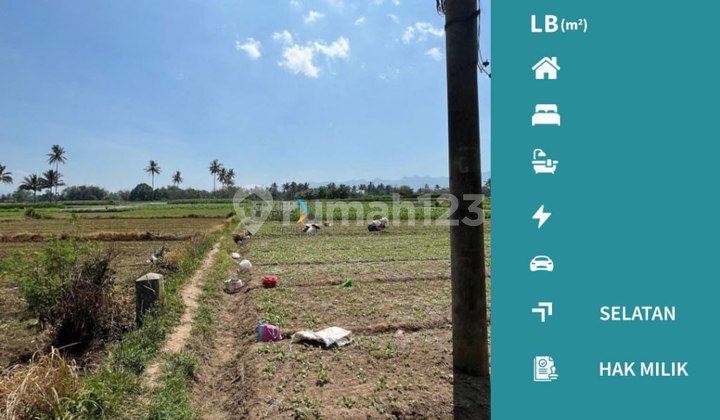 Dijual Cepat Tanah Pertanian Poros Jalan Banjarejo Pakis Malang Dijual Cepat Tanah Pertanian Poros Jalan Banjarejo Pakis Malang