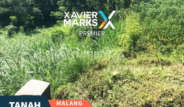 Dijual Tanah Strategis di Dau Malang Cocok Untuk Investor