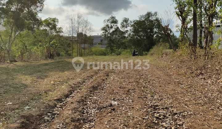  dijual Tanah Ngantong di Jalan Utama Cilegon  1