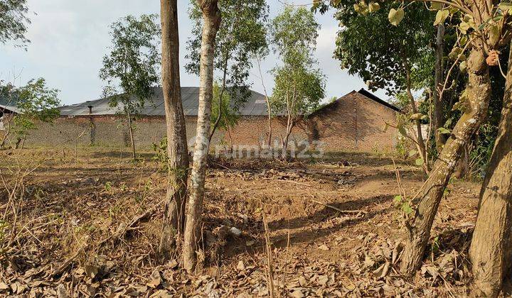  dijual Tanah Ngantong di Jalan Utama Cilegon  3