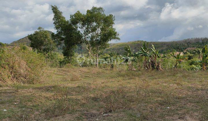  dijual Tanah Ngantong di Jalan Utama Cilegon  9