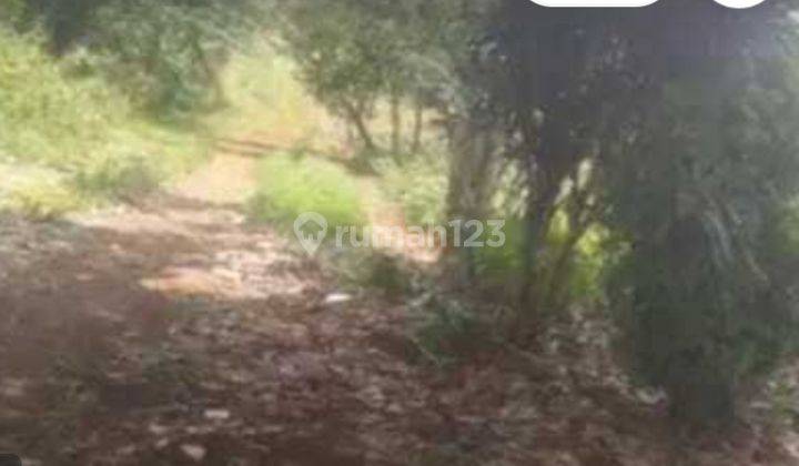 Dijual Kavling di Kampung Udik, Bogor 1