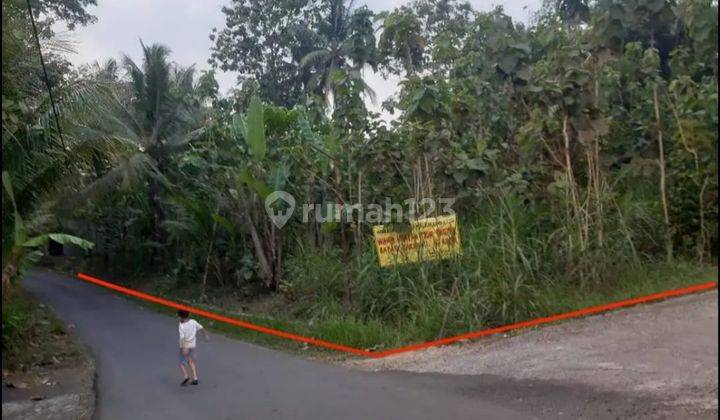 Tanah di Sedayu, Bantul 1.626 m² 2