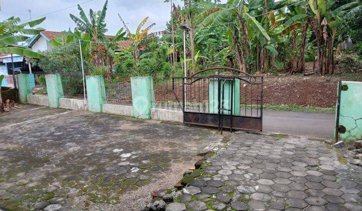 Rumah Siap Huni Lokasi Strategis Kauman Batang Jawa Tengah  8