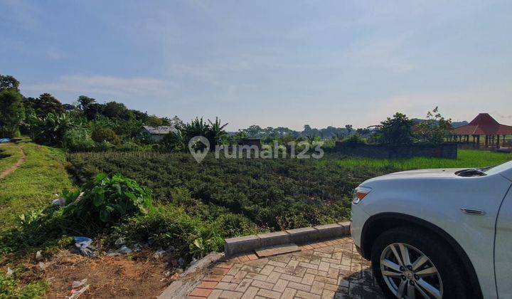 Tanah perkebunan duren musangking kalirejo lawang dekat toll 1