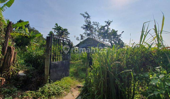 Tanah perkebunan duren musangking kalirejo lawang dekat toll 2