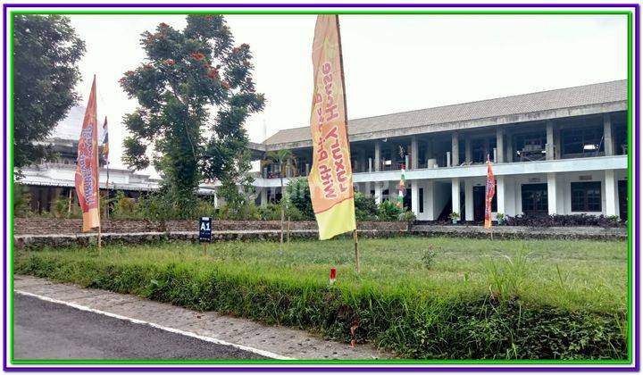 Tanah Murah 500 Meter Ke Spbu Jalan Gito Gati Shm Aman  3