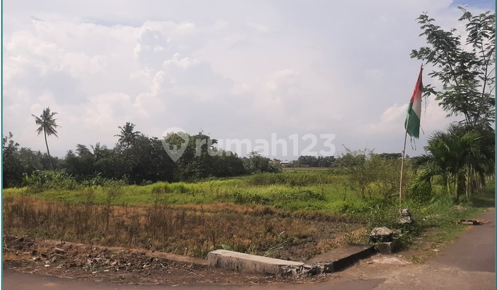 Jual Tanah SHM di Sleman Prospek Cerah & Harga Masih Murah Jual Tanah SHM di Sleman Prospek Cerah & Harga Masih Murah