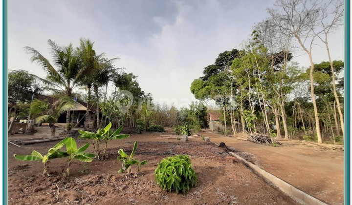 Tanah Murah di Sleman Akses Jalan 5 Meter