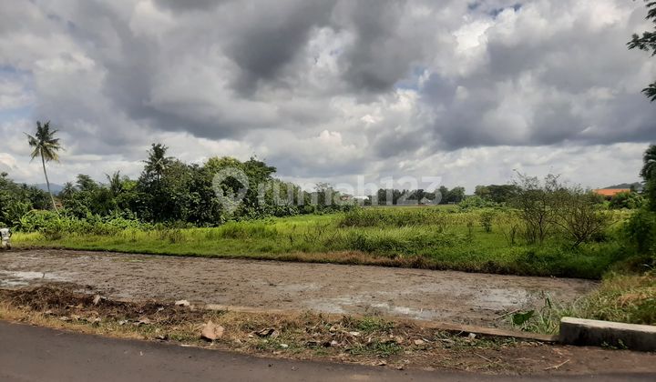 Affordable plots with SHM Certificate Yogyakarta Near UNISA campus Affordable plots with SHM Certificate Yogyakarta Near UNISA campus