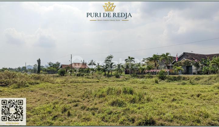 Affordable Plot Near Podean Market with Wide Asphalt Road Access Affordable Plot Near Podean Market with Wide Asphalt Road Access