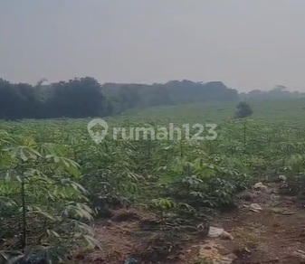 Tanah Subang Industri 22 Ha siap Bangun dekat Tol dan Akses Tol Baru SHM 2