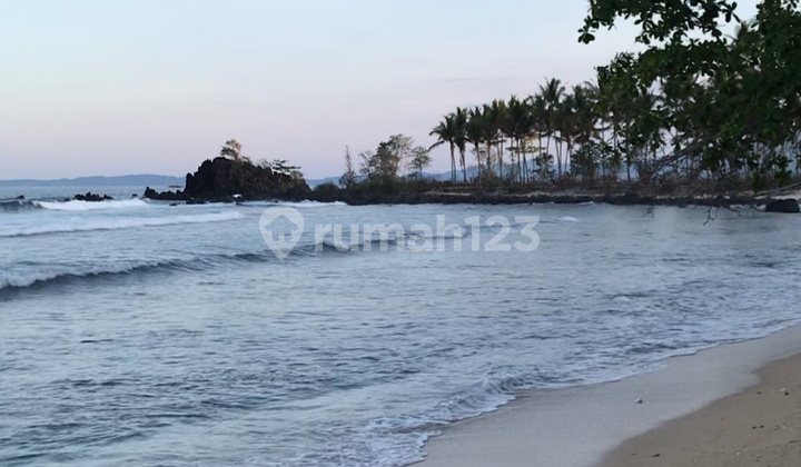 Tanah 1 H Di Kalinaun Likupang Timur Pas Buat Resort Dan Wisata 1