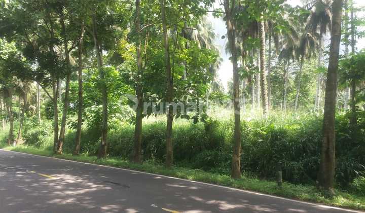 tanah 4200m2 di jl aa Maramis depan BKN 7
