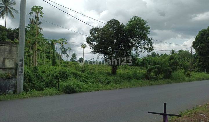 Tanah 7hektar di jl AA Maramis dekat indogrosir 6