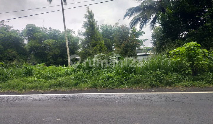 Tanah 3000 m2 jl Manado Bitung desa kaima cocok buat gudang dan industri  3