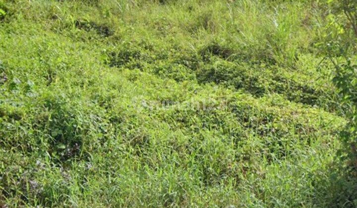 Gudang 850m2 di maumbi disewakan  4