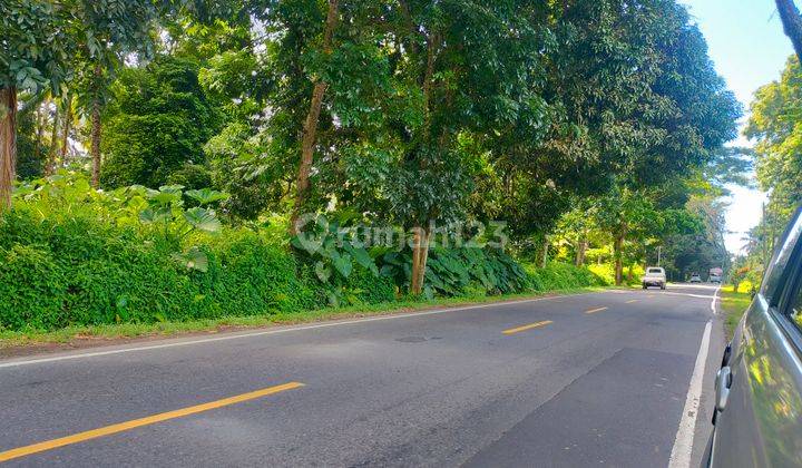 Tanah 1,2h di jl raya Manado Bitung desa Treman for buat gudang  2