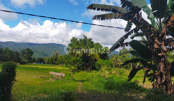 Tanah 1,2h di jl raya Manado Bitung desa Treman cocok untuk gudang dan industri  8