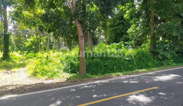 Tanah 1,2h di jl raya Manado Bitung desa Treman cocok untuk gudang dan industri  10