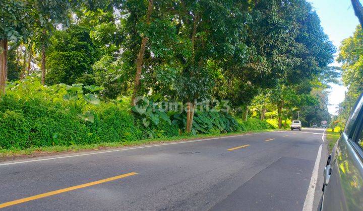 Tanah 1,2h di jl raya Manado Bitung desa Treman cocok untuk gudang dan industri  11