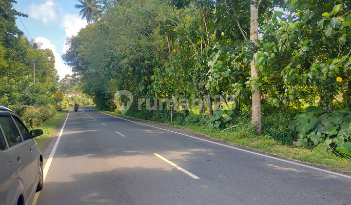 Tanah 10h~20 hektar di jl raya Manado Bitung cocok buat gudang dan industri  3