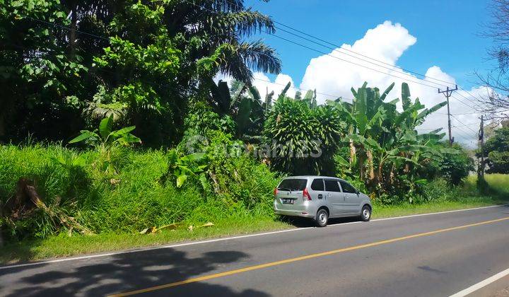 Tanah 10h~20 hektar di jl raya Manado Bitung cocok buat gudang dan industri  6