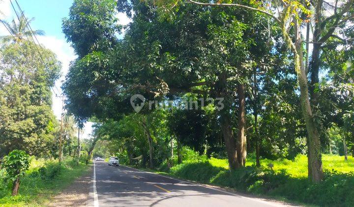 Tanah 10h~20 hektar di jl raya Manado Bitung cocok buat gudang dan industri  9