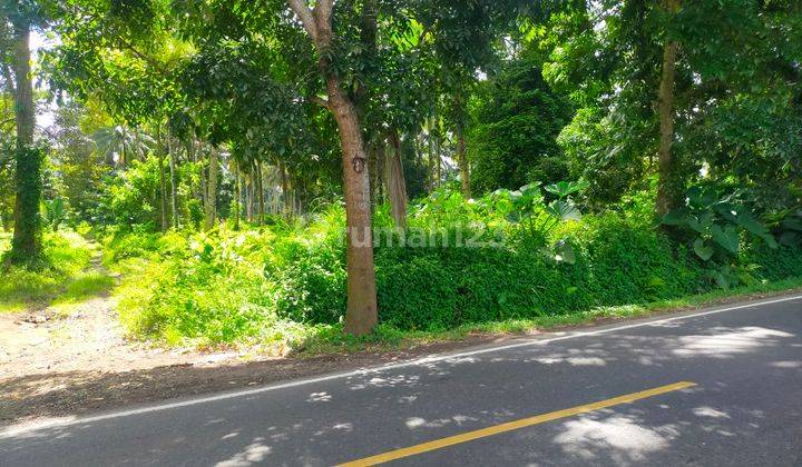 Tanah 10h~20 hektar di jl raya Manado Bitung cocok buat gudang dan industri  10