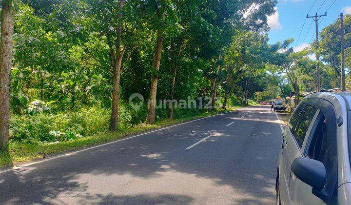 Tanah 1000m2 di jl raya Manado Bitung desa tumaluntung cocok buat gudang dan industri  3