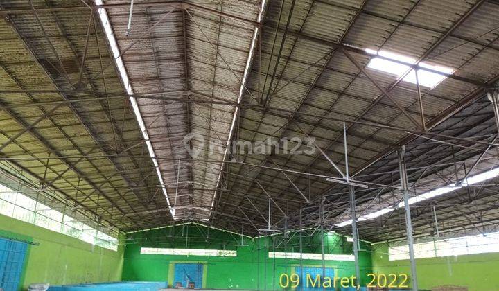 Gudang di manembo nembo Bitung cocok buat distributor  1