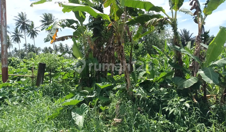 Tanah 2 hektar di jl raya Manado Bitung worang by pass 3