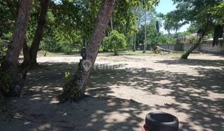 Tanah 9000m2 di kawasan wisata pulisan  buat hotel dan resort  3